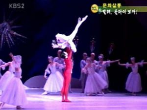 [문화살롱]발레, 골라보는 재미가 있다 