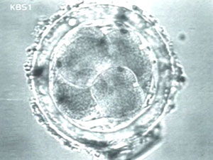 조사위 ‘DNA 분석 임박’…모레 중간 발표 