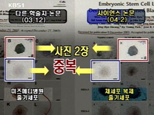황 연구팀, ‘2004년 논문 의혹’ 정면 반박 