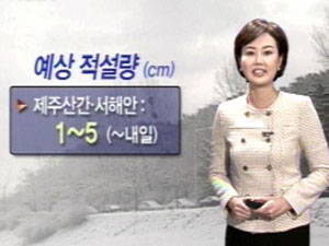 서해안 눈 내일까지…밤 서울·경기 눈발 