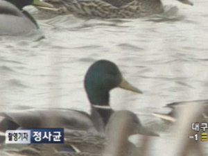 [뉴스광장 영상]전남 진도 