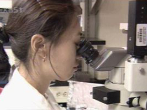 검찰 “1번 줄기세포 박을순 연구원이 수립” 