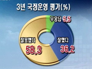 <여론조사> ①노무현 정부 3주년 평가 “잘못했다 58%” 