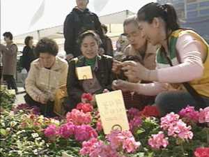 부산 봄나물 축제 개막 