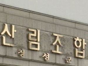 산림조합장 등이 육림비 10억 유용·횡령 