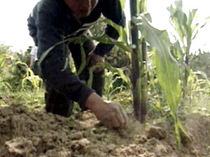 멕시코, 농업 개방 ‘득보다 실’ 
