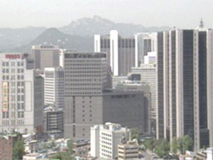 대기업 소유 구조 ‘황제 경영’ 여전 