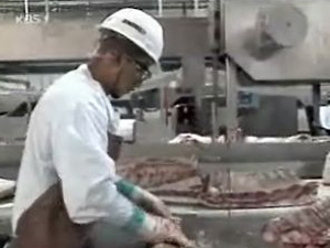 美 상원의원, ‘쇠고기 수입 재개’ 요구 