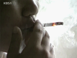 ‘흡연·과음’ 암 사망율 높인다 