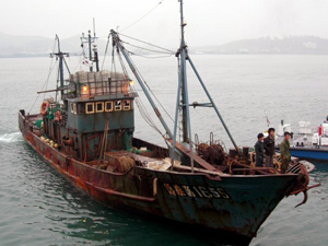 조기잡이 한창…중국 어선 ‘골칫거리’ 