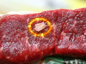 뼛조각 나온 美 쇠고기 수입 금지 