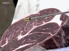 미국산 쇠고기서 다이옥신 검출 