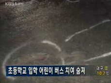 초등학교 입학 어린이 버스 치여 숨져 