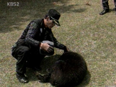 반달곰 대치 끝 결국 사살 