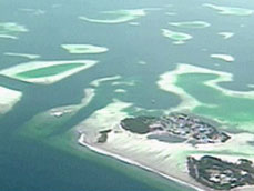 수몰 위기 몰디브, ‘산호를 지켜라’ 