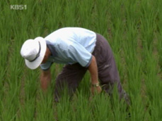 [한미FTA 대책]② ‘전업농’ 대책, 실효성은? 