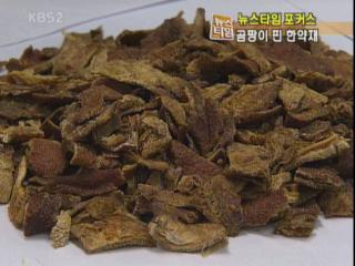 [뉴스타임 포커스] ‘곰팡이 핀 한약재’ 불신 확산 