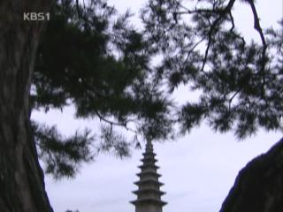 [뉴스광장 영상] 중앙탑 