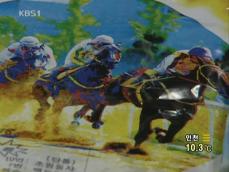 인터넷 ‘경마 펀드’ 적발 