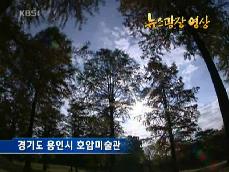 [뉴스광장 영상]  경기도 용인시 호암미술관 