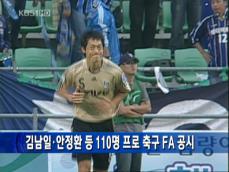 김남일 등 110명 프로축구 FA 공시 