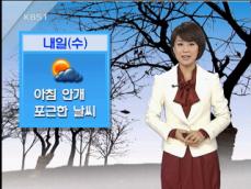 아침 안개, 포근한 날씨 