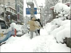 전북 정읍은 눈천지…온 도시가 갇혔다 