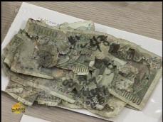 만신창이 지폐 보전에 ‘한해 10억원’ 