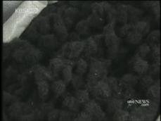 머리카락으로 만든 깔개 ‘천연 제초제’ 