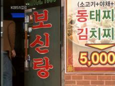 서울시, 개고기 합법화 추진 논란 