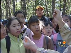 서울시, ‘주말 숲속여행’ 프로그램 운영 