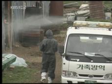 정읍도 ‘고병원성 AI’…확산 비상 