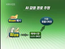 전국에 AI…재래시장 통한 확산에 속수무책 