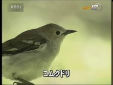 日, 온난화로 쇠찌르레기 산란 빨라져 