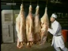 미, 연내 한국에 쇠고기 5만톤 수출 목표 