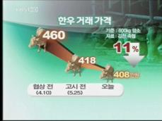 고시 후 첫 우시장…송아지가 99만원, 거래 ‘뚝’ 