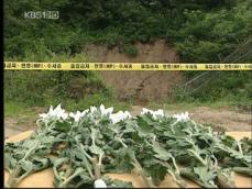 폭우 속 작업 군인 2명, 산사태로 숨져 