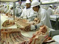 ‘美 O-157 리콜 업체’ 쇠고기 전량 세균 검사 