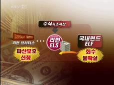 ‘리먼 사태’ 국내 투자자 손실 불가피 