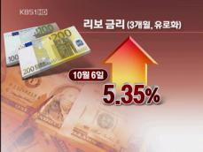 외화 유동성 부족…‘위기’의 본질은? 