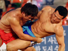 ‘씨름 단일체제’ 모래판 영광 되살려라 