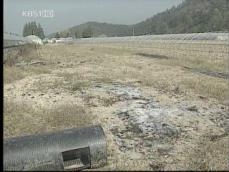 [심층취재] ‘직불금’ 총체적 부실…논 아닌 땅도 지급 