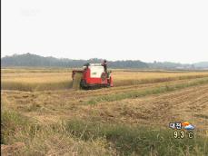 ‘쌀 직불금’ 관련 공무원 조사 본격화 