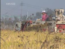 ‘쌀 직불금’ 자진신고 공무원 4만 5천명 