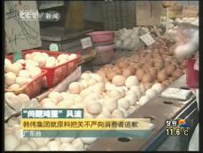 중국, ‘멜라민 계란’ 파문 전국으로 확산 