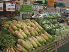 김장 재료값 폭락…김장 비용 30% ↓ 