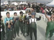 제주, 최남단 ‘방어 축제’ 인기 절정 