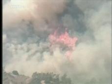 LA, 산불 확산 계속…5만 명 대피 