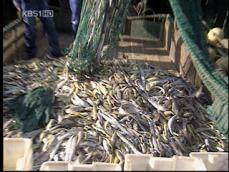 중국 어선, 제주 바다서 불법 조업 ‘기승’ 