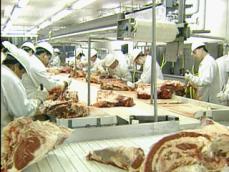 “미 쇠고기 수출 작업장 18곳, 검역 위반” 